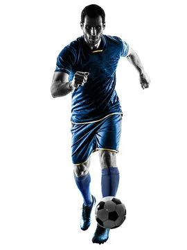 BB体育 主要标志